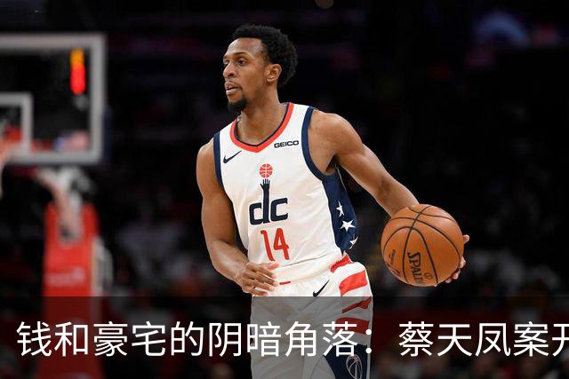 钱和豪宅的阴暗角落：蔡天凤案开庭背后的故事